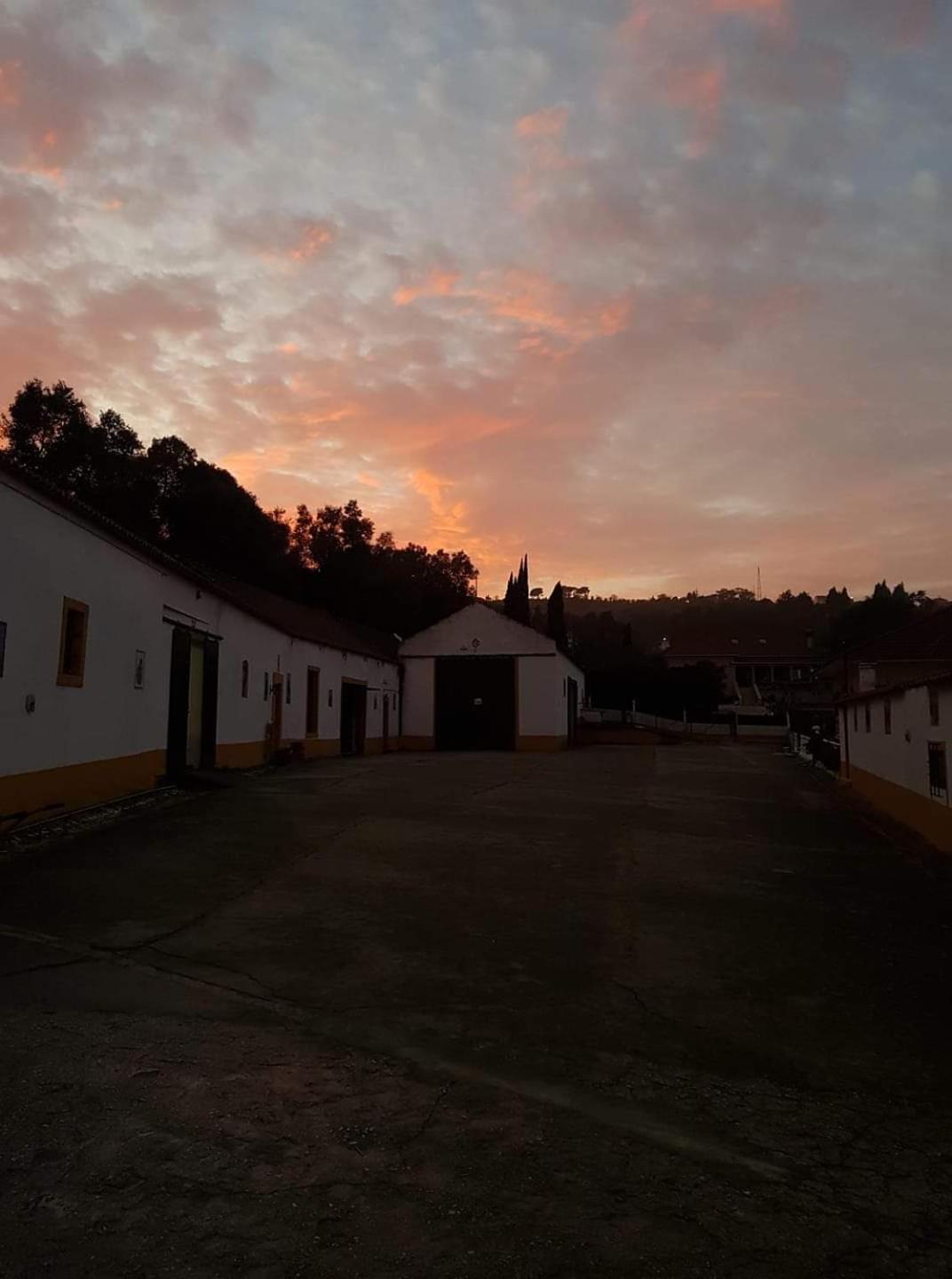 Horse Riding Country House Vila Franca de Xira Dış mekan fotoğraf
