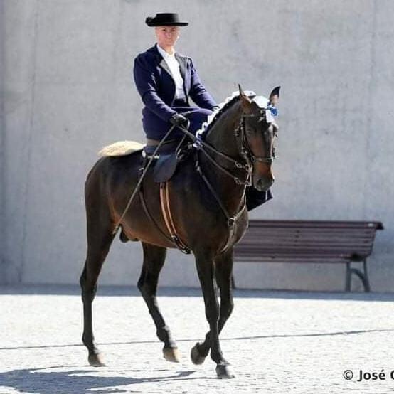 Horse Riding Country House Vila Franca de Xira Dış mekan fotoğraf