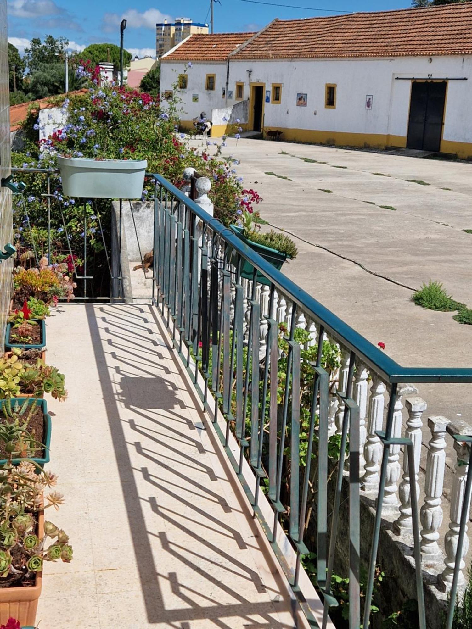 Horse Riding Country House Vila Franca de Xira Dış mekan fotoğraf