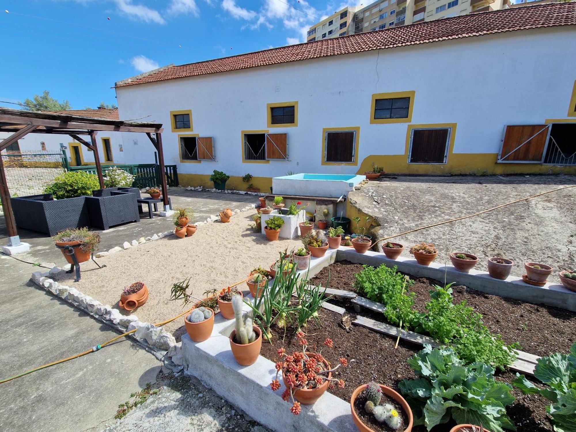 Horse Riding Country House Vila Franca de Xira Dış mekan fotoğraf