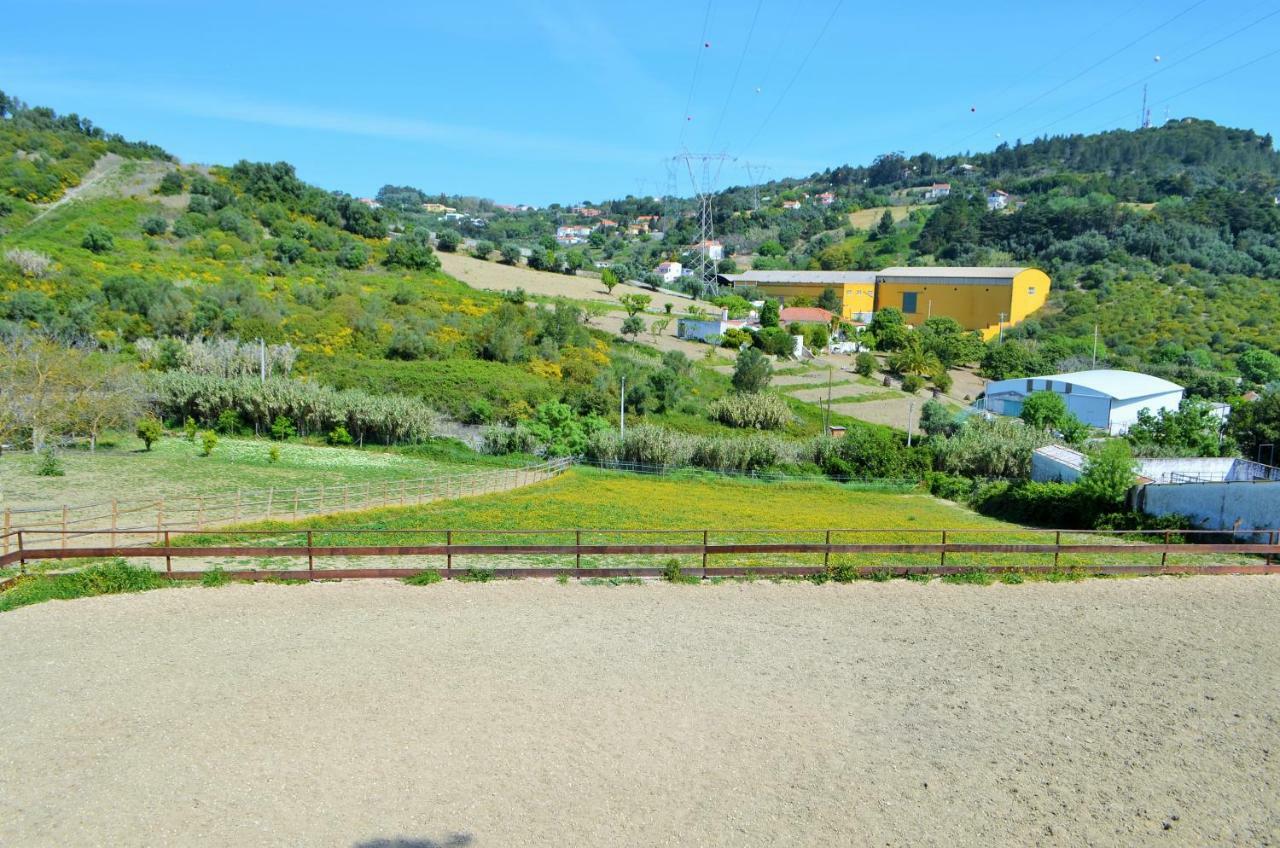 Horse Riding Country House Vila Franca de Xira Dış mekan fotoğraf